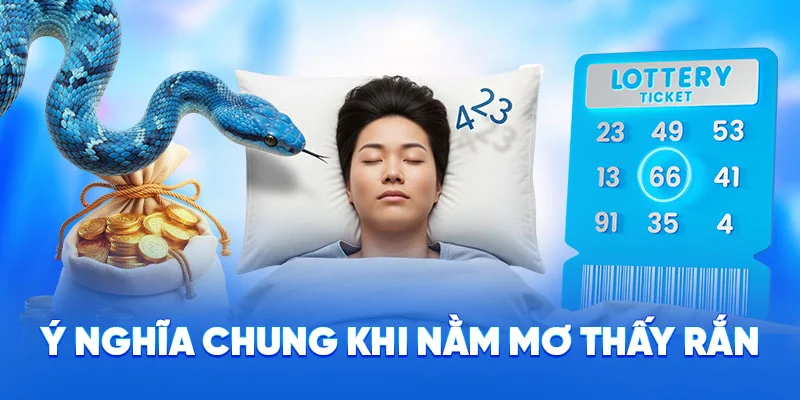 Ý nghĩa chung khi nằm mơ thấy rắn